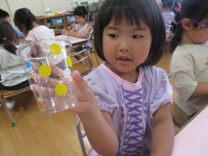 IMG_0536