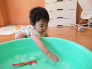 IMG_1650