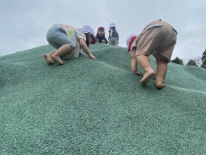 IMG_9918